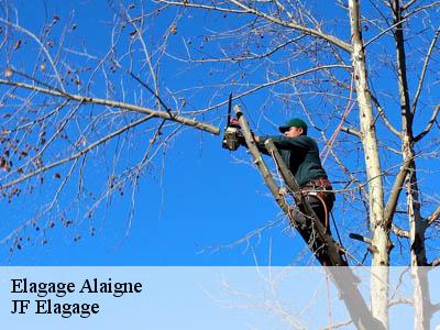 Elagage  alaigne-11240 DEBORD Elagage 11