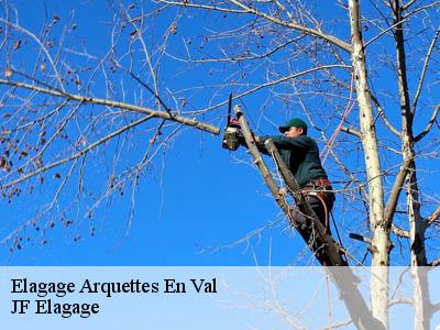 Elagage  arquettes-en-val-11220 Jardin Paysage