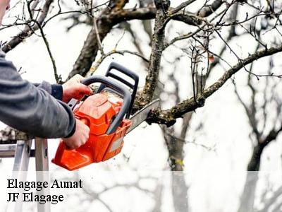 Elagage  aunat-11140 JF Elagage