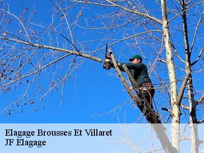 Elagage  brousses-et-villaret-11390 JF Elagage