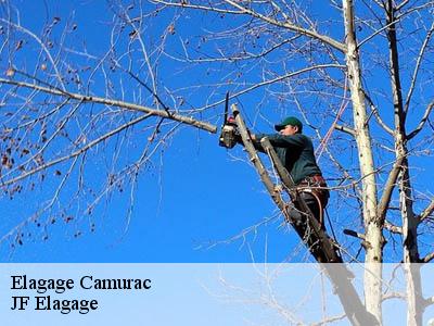 Elagage  camurac-11340 Jardin Paysage
