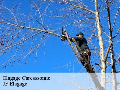 Elagage  carcassonne-11000 Jardin Paysage