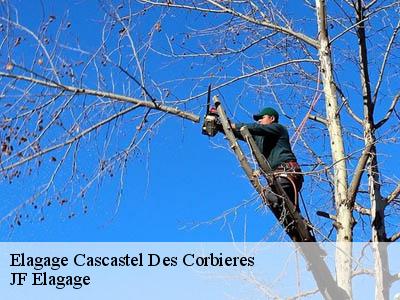 Elagage  cascastel-des-corbieres-11360 DEBORD Elagage 11