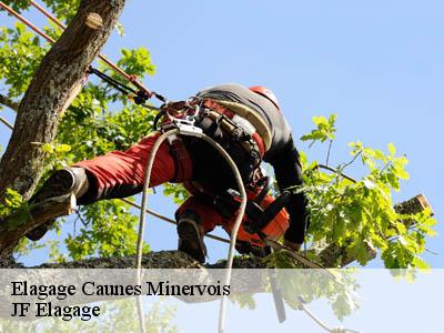 Elagage  caunes-minervois-11160 DEBORD Elagage 11