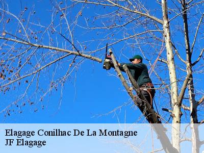 Elagage  conilhac-de-la-montagne-11190 JF Elagage