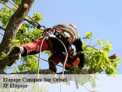 Elagage  conques-sur-orbiel-11600 Jardin Paysage