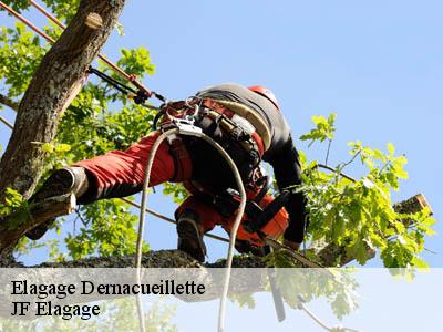 Elagage  dernacueillette-11330 Jardin Paysage