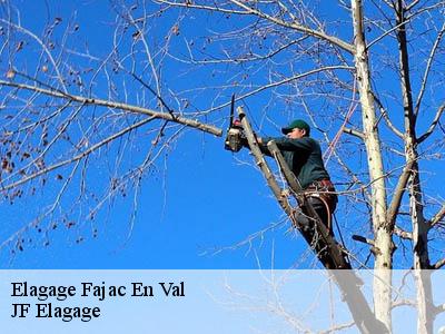 Elagage  fajac-en-val-11220 Jardin Paysage