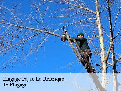 Elagage  fajac-la-relenque-11410 Jardin Paysage