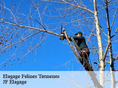Elagage  felines-termenes-11330 DEBORD Elagage 11