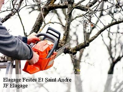 Elagage  festes-et-saint-andre-11300 JF Elagage