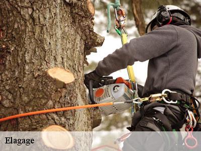 Elagage  festes-et-saint-andre-11300 JF Elagage