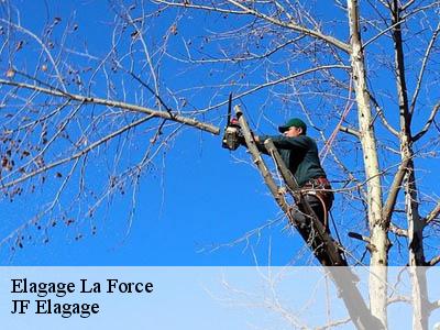 Elagage la-force-11270