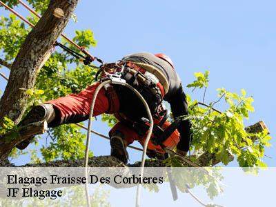 Elagage  fraisse-des-corbieres-11360 Jardin Paysage