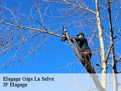 Elagage  gaja-la-selve-11270 Jardin Paysage