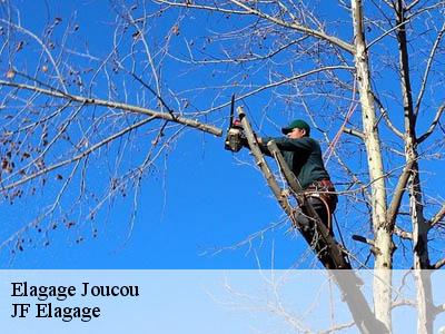 Elagage  joucou-11140 Jardin Paysage