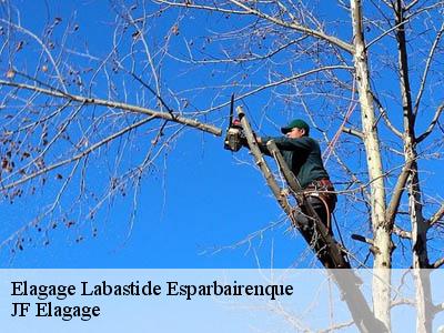 Elagage labastide-esparbairenque-11380