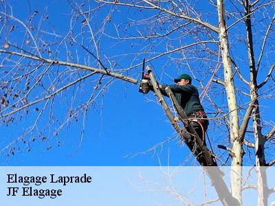 Elagage  laprade-11390 JF Elagage