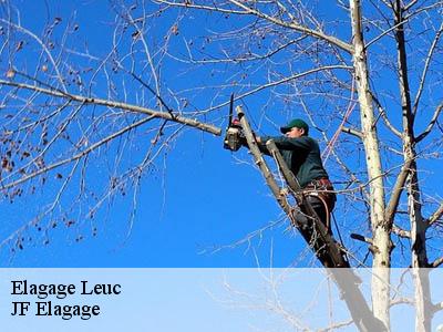 Elagage leuc-11250 Daveque elagage 11