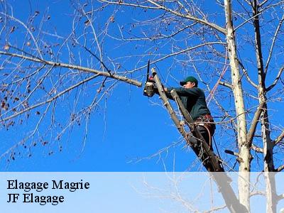 Elagage  magrie-11300 DEBORD Elagage 11