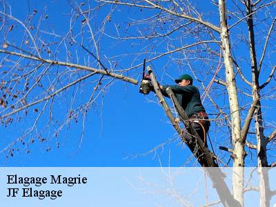 Elagage  magrie-11300 DEBORD Elagage 11