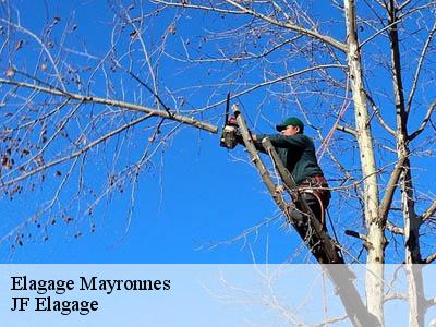 Elagage  mayronnes-11220 Jardin Paysage