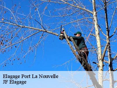 Elagage  port-la-nouvelle-11210 Jardin Paysage