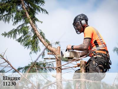 Elagage  peyrefitte-du-razes-11230 Jardin Paysage