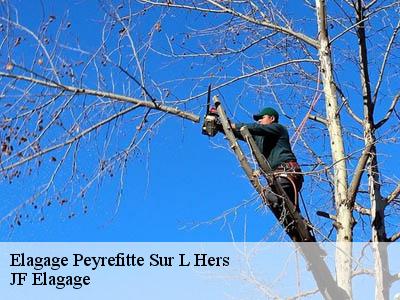 Elagage  peyrefitte-sur-l-hers-11410 Jardin Paysage