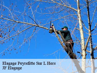 Elagage  peyrefitte-sur-l-hers-11410 Jardin Paysage