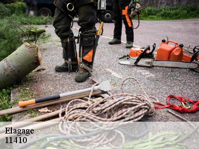 Elagage  peyrefitte-sur-l-hers-11410 Jardin Paysage
