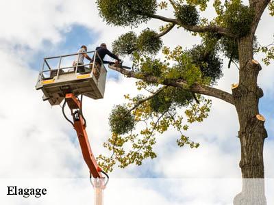 Elagage  peyrefitte-sur-l-hers-11410 Jardin Paysage