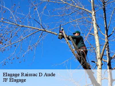 Elagage  raissac-d-aude-11200 Jardin Paysage