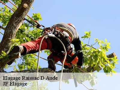 Elagage  raissac-d-aude-11200 Jardin Paysage