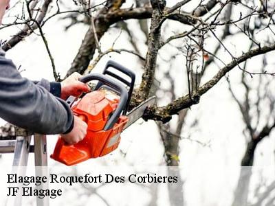 Elagage  roquefort-des-corbieres-11540 JF Elagage