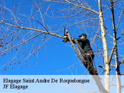 Elagage  saint-andre-de-roquelongue-11200 DEBORD Elagage 11