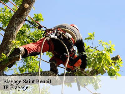 Elagage  saint-benoit-11230 JF Elagage