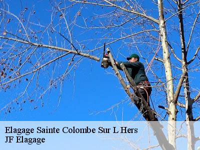 Elagage sainte-colombe-sur-l-hers-11230 Soulaigre elagage 11