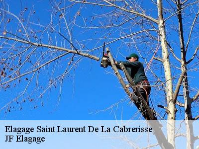 Elagage saint-laurent-de-la-cabrerisse-11220