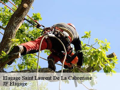 Elagage  saint-laurent-de-la-cabrerisse-11220 DEBORD Elagage 11