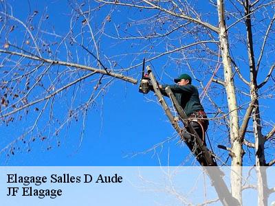 Elagage  salles-d-aude-11110 Jardin Paysage