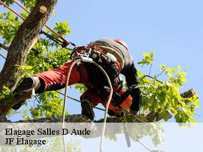 Elagage  salles-d-aude-11110 Jardin Paysage