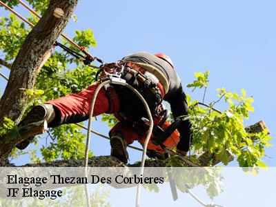 Elagage  thezan-des-corbieres-11200 Jardin Paysage