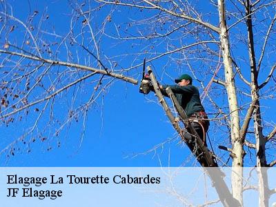 Elagage  la-tourette-cabardes-11380 DEBORD Elagage 11