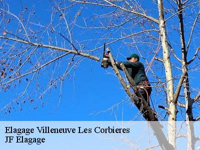 Elagage villeneuve-les-corbieres-11360 DEBORD Elagage 11