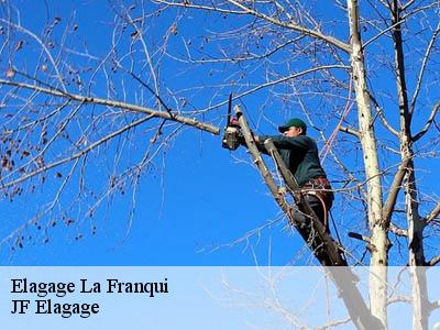 Elagage  la-franqui-11370 JF Elagage