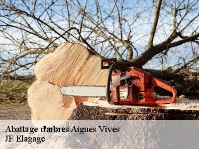 Abattage d'arbres  aigues-vives-11800 JF Elagage