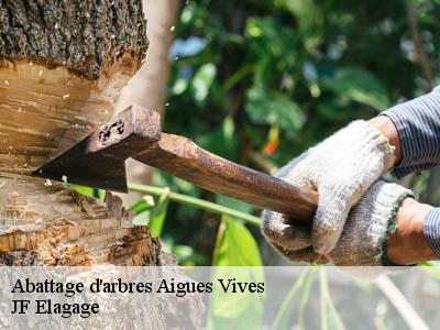 Abattage d'arbres  aigues-vives-11800 JF Elagage