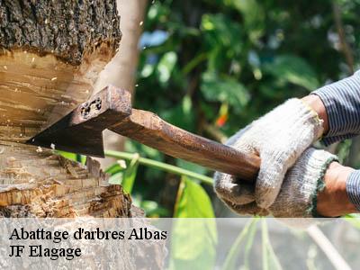 Abattage d'arbres  albas-11360 JF Elagage