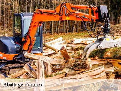 Abattage d'arbres  aunat-11140 JF Elagage